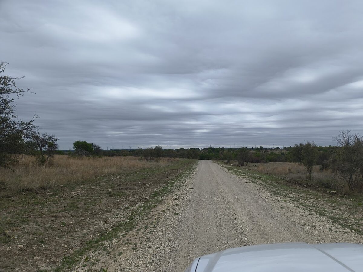 Ranch trail through open pasture